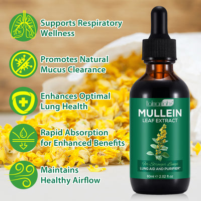 Mullein Leaf Extract - Lung & Airway Detox