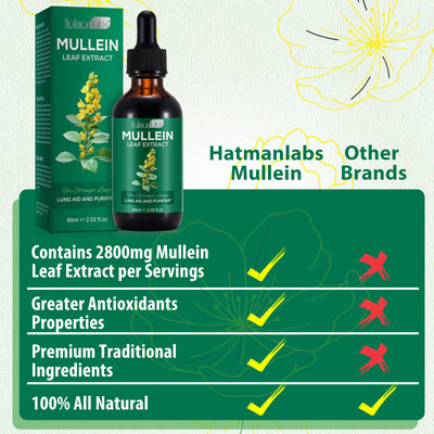 Mullein Leaf Extract - Lung & Airway Detox