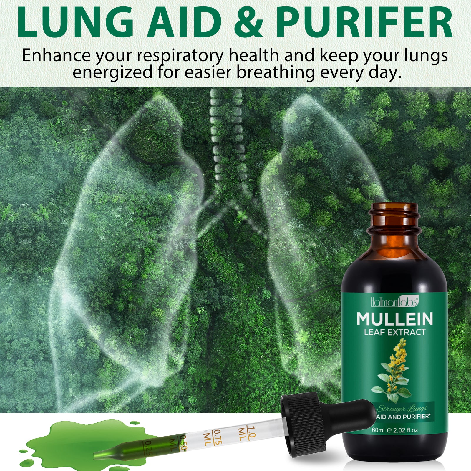 Mullein Leaf Extract - Lung & Airway Detox