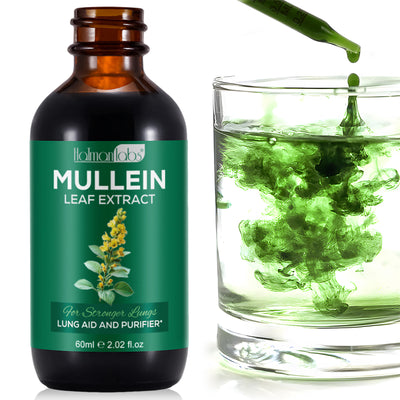 Mullein Leaf Extract - Lung & Airway Detox