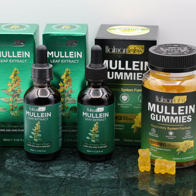 Lung & Airway Detox Bundle