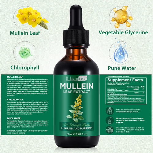 Mullein Leaf Extract - Lung & Airway Detox