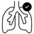 Supports Lungs & Airways